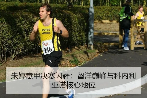 zhu-ting-yi-jia-jue-sai-shan-yao-liu-yang-dian-feng-yu-ke-nei-li-ya-nuo-he-xin-di-wei-2-913.jpg