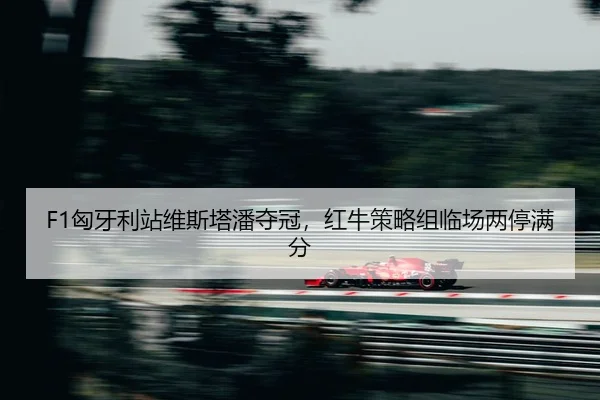xiong-ya-li-zhan-wei-si-ta-pan-duo-guan-hong-niu-ce-lve-zu-lin-chang-liang-ting-man-fen-2-320.jpg