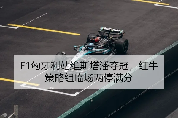 xiong-ya-li-zhan-wei-si-ta-pan-duo-guan-hong-niu-ce-lve-zu-lin-chang-liang-ting-man-fen-3-777.jpg