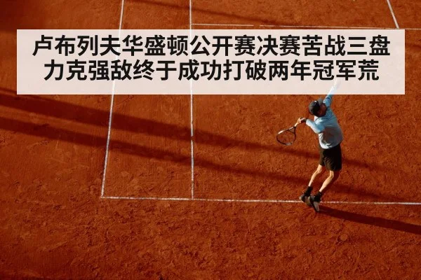 卢布列夫华盛顿公开赛决赛苦战三盘力克强敌终于成功打破两年冠军荒