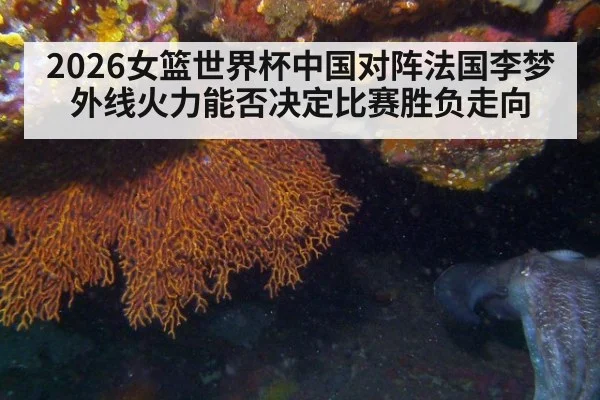 2026女篮世界杯中国对阵法国李梦外线火力能否决定比赛胜负走向